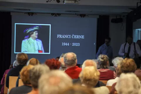 Spominski večer, posvečen Franciju Černetu, je Dru&scaron;tvo upokojencev Radovljica v torek pripravilo v dvorani radovlji&scaron;ke knjižnice. / Foto: Tina Dokl
