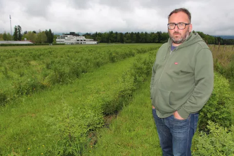 Aljaž Dolhar, eden redkih pridelovalcev haskap jagod na Gorenjskem, v nasadu v bližini posestva Brdo<br> / Foto: Cveto Zaplotnik