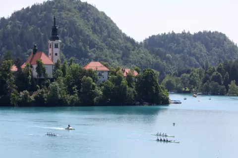 EP evropsko prvenstvo Veslanje Bled 2023 finale / Foto: Gorazd Kavčič