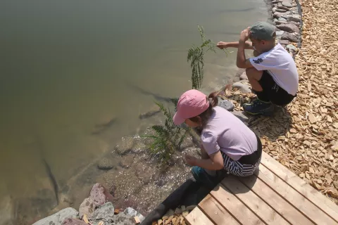 otroci igranje igra voda preživnina sodišče / Foto: Gorazd Kavčič