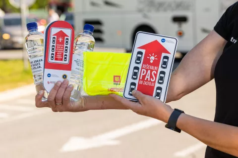 reševalni pas / Foto: Avp/bor Slana