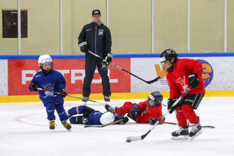 Hokejska akademija Anže Kopitar in Tomaž Razingar / Foto: Tina Dokl