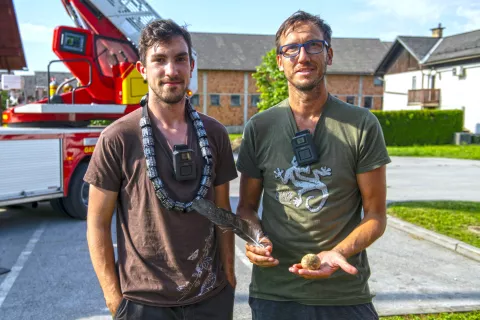 &Scaron;torklje sta obročkala Mitja Dobovi&scaron;ek in Miha Dimnik, Miha v rokah drži &scaron;torkljino pero in neopoljeno jajce, ki sta ga vzela iz gnezda / Foto: Primož Pičulin