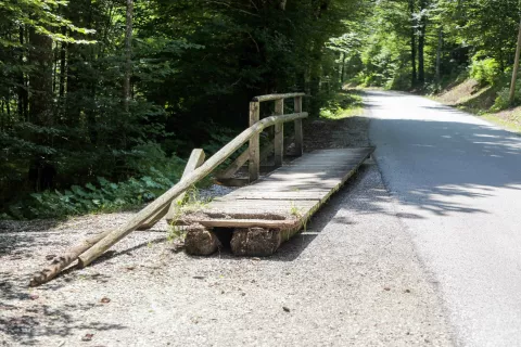 Izruvana brv leži nedaleč od mesta, kjer je nekoč čez Radovno omogočala dostop do jezera Kreda. / Foto: Tina Dokl