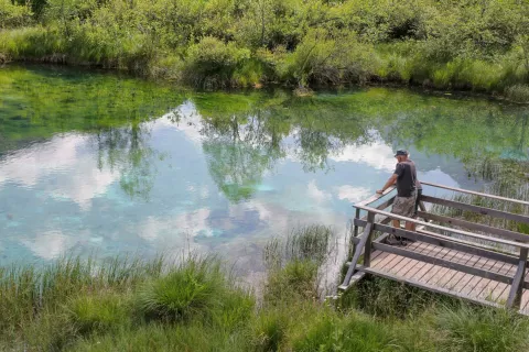 Naravni rezervat Zelenci je v primerjavi z lansko sezono v veliko bolj&scaron;em stanju, saj se je vodostaj povi&scaron;al, voda pa se je zbistrila. / Foto: Tina Dokl