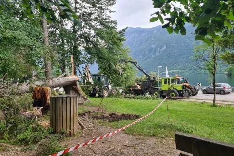 neurje Bohinj Ribčev laz sanacija / Foto: Marjana Ahačič