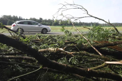 Ob cestah izruvano drevje je ogrožalo tudi promet. /Foto: Gorazd Kavčič / Foto: Gorazd Kavčič