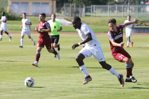 prijateljska tekma med NK Triglav in prvak francoska Ligue2 ekipa Le Havre stadion Stanka Mlakarja Kranj / Foto: Gorazd Kavčič