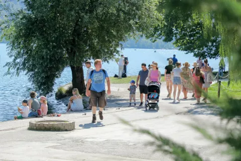 reportaža turisti na Bledu turisti kopalci plavalci skok v vodo jezero / Foto: Tina Dokl