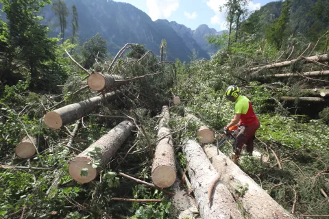 odpravljanje posledice neurja dolina Kot Krma Radovna občina Kranjska Gora in Gorje vetrolom vrtinčast veter &scaron;koda gozd / Foto: Gorazd Kavčič