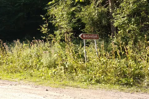 Medvedjek v kočevskih gozdovih / Foto: Slavko Zupanc