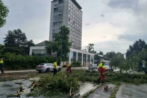 neurje podrto drevo Kranj / Foto: Simon Šubic