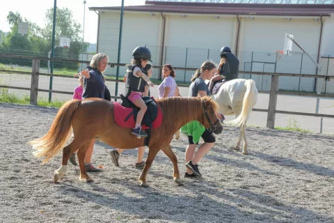Med nenavadnimi priložnostnimi deli so mladi navajali tudi učenje jahanja. Slika je simbolična. / Foto: Tina Dokl