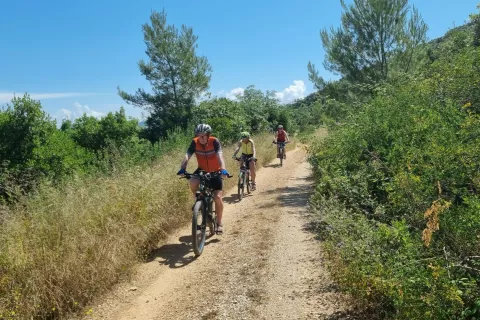 Na otoku Korčula smo zašli na slabši makadam. / Foto: Grega Flajnik
