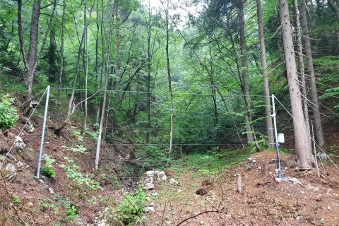 plaz koroška bela / Foto: Občina Jesenice