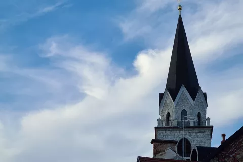 razgled, zvonik, kranjska župnijska cerkev / Foto: Alenka Brun