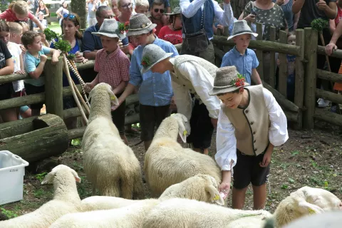 Ovčarski bal na Jezerskem tradicionalno pripravijo drugo nedeljo v avgustu. / Foto: Alenka Brun
