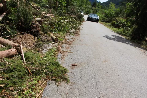 Cesta v dolini Radovne je zaradi nemotenega poteka spravila lesa in varnosti udeležencev prometa zaprta za promet, vendar številni prepovedi ne spoštujejo. / Foto: Cveto Zaplotnik