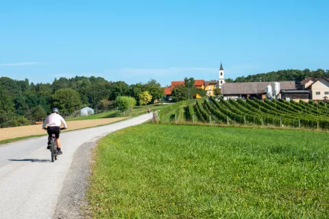 Kolesarjenje po gričevnati pokrajini v Slovenskih goricah / Foto: Slavko Zupanc