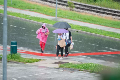 zlom poletja / Foto: Nik Bertoncelj