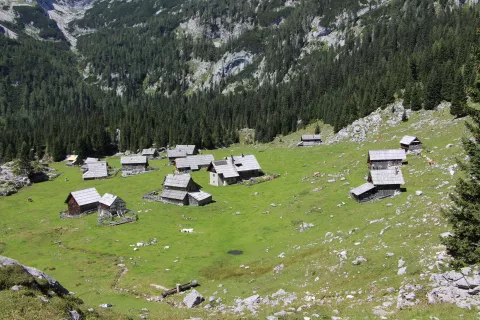 Gručasto oblikovana Planina v Lazu s sedemnajstimi stanovi in skupno sirarno<br> / Foto: Cveto Zaplotnik