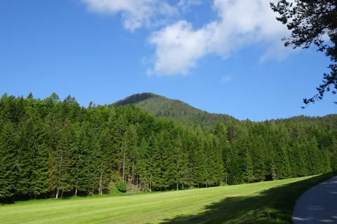 Psinski vrh kot ga vidimo z asfaltirane ceste. / Foto: Jelena Justin