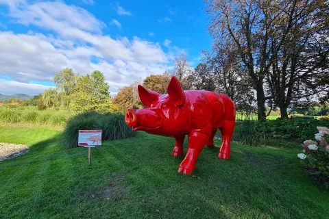 Opazna rdeča skulptura pujsa napoveduje prihajajočo razstavo del Williama Sweetlova. / Foto: Alenka Brun