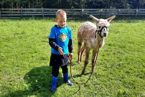 Elias je sprehajal Afrodito / Foto: Klara Mrak