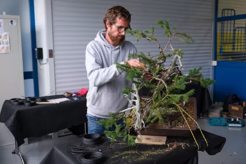 Ob razstavi je potekal tudi prikaz oblikovanja neobdelanega drevesa v bonsaj. / Foto: Ma&scaron;a Likosar