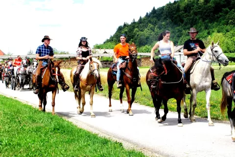Krvav&scaron;ka konjenica / Foto: Janez Kuhar