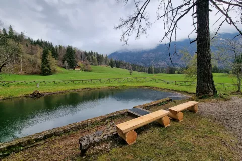 V parku so tudi tri jezerca, pred nedavnim so ob njih namestili nove klopce. / Foto: Nik Bertoncelj