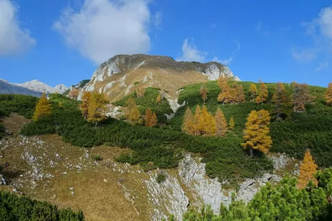 Pogled proti vrhu Ogradov. / Foto: Jelena Justin