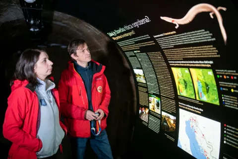 Informacijski center SOS Proteus v kranjskih rovih je predvsem izobraževalne in raziskovalne narave, sta ob odprtju centra poudarila zakonca Gregor in Magdalena Aljančič iz Zavoda Jamski laboratorij Tular, ki je idejni pobudnik in upravljavec info centra. / Foto: Primož Pičulin