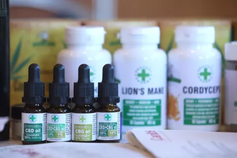 mednarodna konferenca industrijska konoplja Rikli Hotel Bled 23 / Foto: Gorazd Kavčič