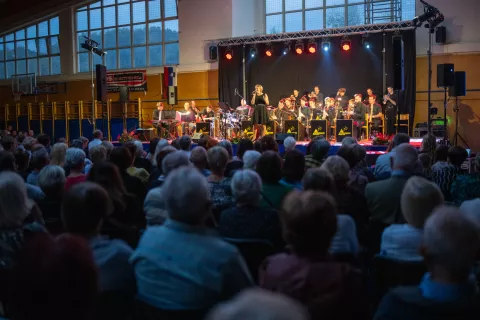 Slovensko društvo Hospic - dobrodelni koncert za tabor Levjesrčnih / Foto: Primož Pičulin