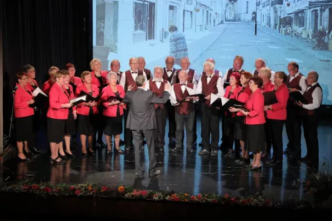 Nastop Mešanega pevskega zbora DU Tržič pod vodstvom dirigenta Staneta Bitežnika / Foto: Tina Dokl