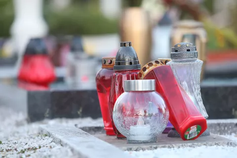 pokopališče Kranj britof 1. november spomin na mrtve sveče ikebana ozelenitev zasaditev dreves sečnja grob / Foto: Gorazd Kavčič