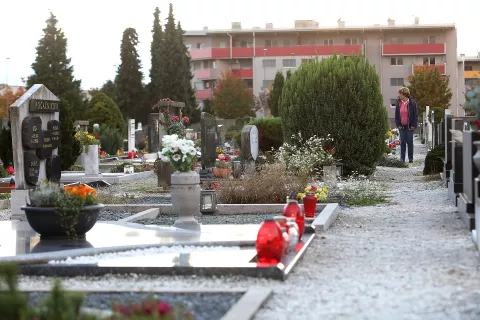 pokopali&scaron;če Kranj britof 1. november spomin na mrtve sveče ikebana ozelenitev zasaditev dreves sečnja grob / Foto: Gorazd Kavčič
