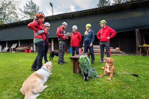 Tkmovanje kranj / Foto: Miro Hrkalovic