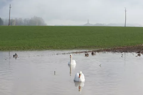 va&scaron; razgled 23 090 / Foto: Gorazd Kavčič