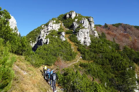 Detajl s poti ob vzpnu. / Foto: Jelena Justin