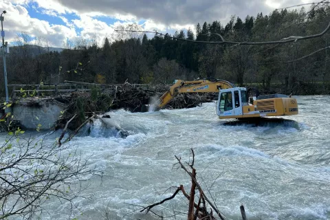 Narasla Sava Dolinka je, ko je naplavljeno drevje zaprlo pretok pod &Scaron;občevim mostom, na&scaron;la drugo pot in pri tem odnesla precej&scaron;en del brežine. / Foto:  
