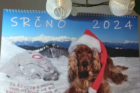 Na naslovnici je tudi letos Nikin koker&scaron;panjel Vili. / Foto: Nika Weiffenbach