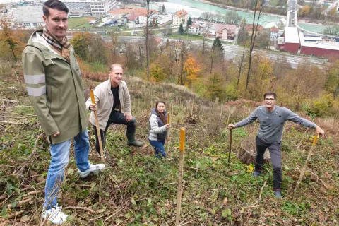 Zasaditev so izvedli na območju lanskega poseka na pobočju &Scaron;marjetne gore. Z leve: podžupan Janez Černe, predsednik KS Gorenja Sava Roman Perne, podžupanja Manja Zorko in župan Matjaž Rakovec / Foto: MOK