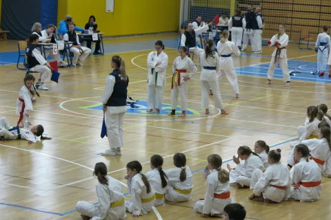 Karate turnir Cerklje / Foto: Ana Jagodic Dolžan
