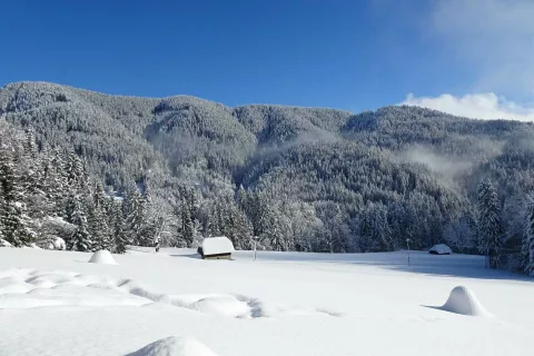 Karavan&scaron;ke senožeti počivajo v tej obilni zimi. Zadaj je Petelinjek. / Foto: Jelena Justin
