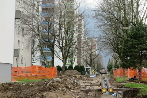 dela med stolpnicami / Foto: Vilma Stanovnik