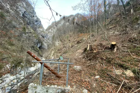 Dostopna pot do Partizanske bolnice Franje po odstranitvi drevja, podrtega v vetrolomu / Foto: Luka Kalan