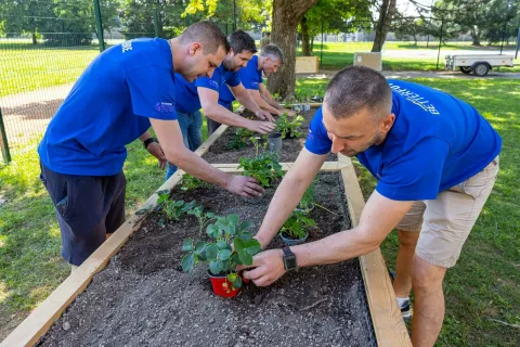 Pri Osnovni &scaron;oli Jakoba Aljaža Kranj in vrtcu Mlinček v Naklem so postavili visoke grede. / Foto: Goodyear Slovenija