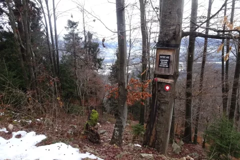 Vpisna skrinjica na Cutovem Lazu. Dobrodošlica v več jezikih. Sestopimo v smeri Stočja. / Foto: Jelena Justin